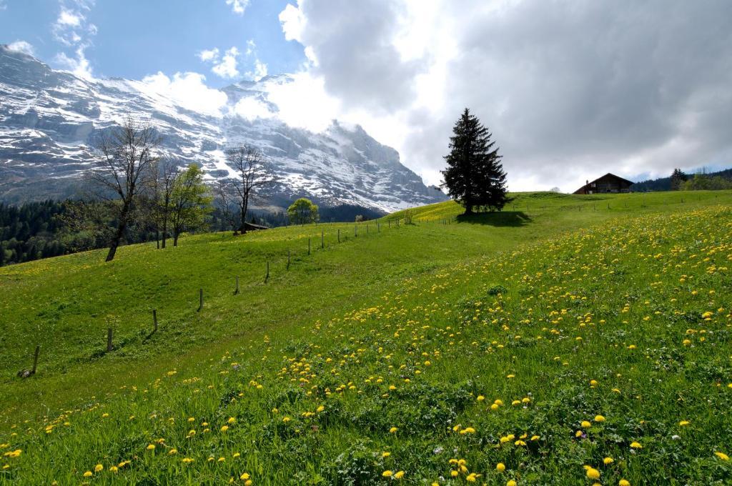 Aspen Alpine Lifestyle Hotel Grindelwald Exterior photo